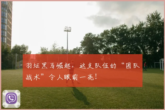 羽坛黑马崛起,这支队伍的“团队战术”令人眼前一亮!